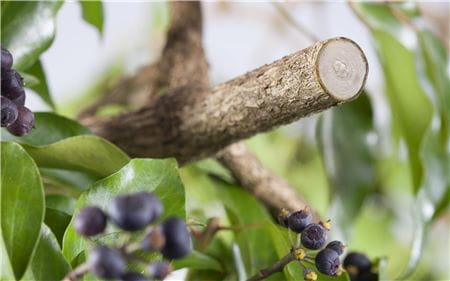 Точная резка